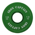 Telju_ICTF014_Fractional_Disc_118